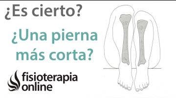 ¿Es cierto que casi todas las personas tienen una pierna más corta?