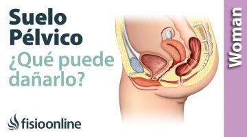 ¿Qué es el suelo pélvico y qué puede dañarlo?