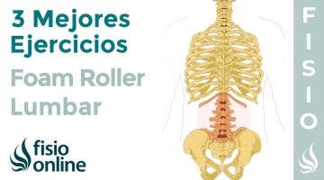 Los 3 mejores ejercicios con FOAM ROLLER para tu LUMBAR