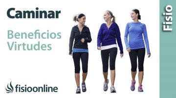 ¿Por qué es tan bueno caminar? Virtudes y beneficios de andar  varios kilómetros todos los días.