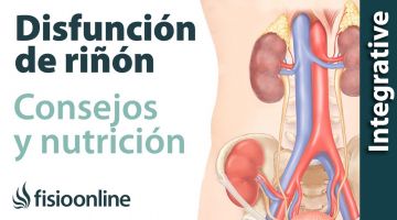 Alimentación, nutrición y consejos dietéticos para la disfunción de riñón.