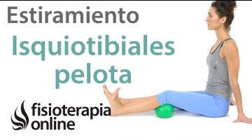 22.Estiramiento de isquiotibiales con pelota bajo la rodilla.