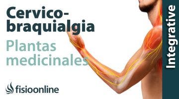 Cérvico-braquialgia derecha. Plantas medicinales y remedios naturales