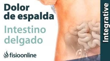 Tratamiento para dolor  lumbar o ciática provocado por una alteración del intestino delgado