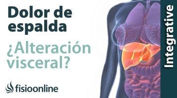 Tratamiento para dolor de espalda cervical y dorsal provocado por una alteración del estómago