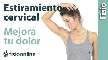 Estiramientos y movilizaciones para las cervicales. Mejora tu dolor de cuello y hombros.