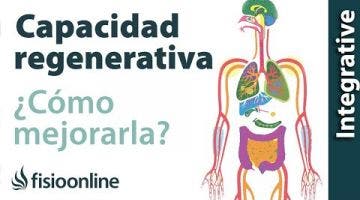 Cómo mejorar tu capacidad regenerativa desintoxicando tu cuerpo