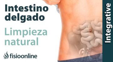 Alimentación, nutrición y consejos dietéticos para la disfunción de intestino delgado