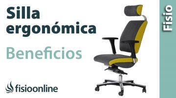 Silla ergonómica. Virtudes, beneficios y características para los problemas de espalda.