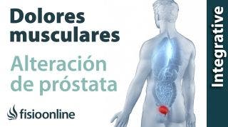 Próstata: problemas articulares y musculares que puede provocar.