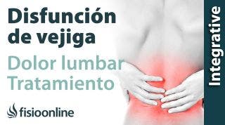 Tratamiento para dolor muscular y lumbar provocado por una alteración de vejiga