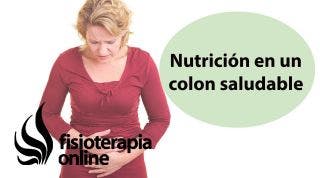 Importancia nutrición en un colon saludable, colon irritable
