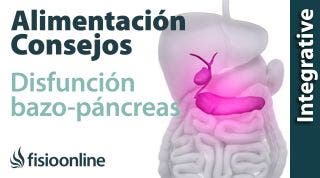 Alimentación, nutrición y consejos dietéticos para la disfunción de bazo-páncreas.