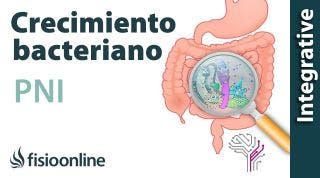 Sobrecreimiento bacteriano, entendiéndolo a través de la PNI