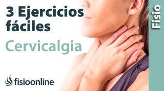 3 EJERCICIOS FÁCILES para la CERVICALGIA