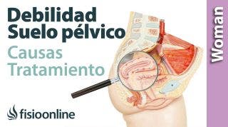 Debilidad del suelo pélvico. Causas y cosas que podemos hacer para evitarlas..