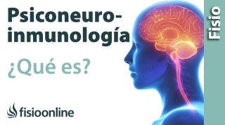 ¿Qué es la psiconeuroinmunología (PNI) y cómo puede ayudarnos?