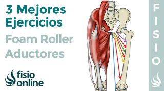 Los 3 mejores ejercicios con FOAM ROLLER para tus ADUCTORES