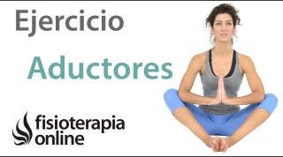 Ejercicio de potenciación o fortalecimiento para los músculos aductores.