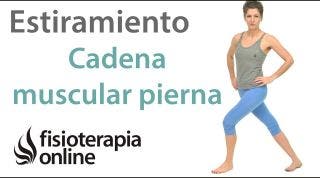 13.Estiramiento de cadena de apertura de la pierna. (con cincha).