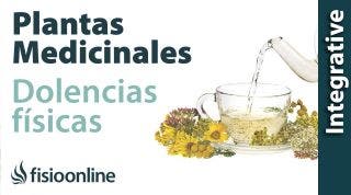 ¿Cómo utilizar las plantas medicinales sobre los problemas de espalda, articulares y musculares?