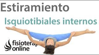 Estiramientos 3