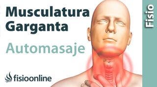 51.masaje estiramiento y movilización de la lengua y musculatura de la lengua. (nuevo)