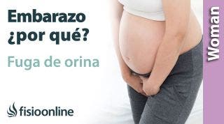 ¿Por qué se me escapa el pis embarazada? Cambios que provocan que tu cuerpo tenga más débil tu suelo