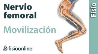 Flexibilización y movilización del nervio femoral.