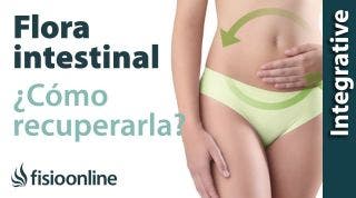 Cómo influye el estado de la flora intestinal en nuestra salud.