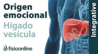Origen emocional de la disfunción de hígado y vesícula biliar.