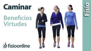 ¿Por qué es tan bueno caminar? Virtudes y beneficios de andar  varios kilómetros todos los días.