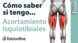 Cómo saber si tienes un ACORTAMIENTO de los músculos isquiotibiales