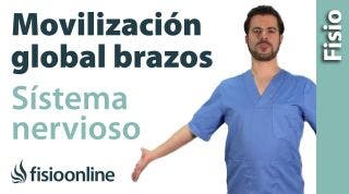 Movilizacion global de sistema nervioso de los brazos.