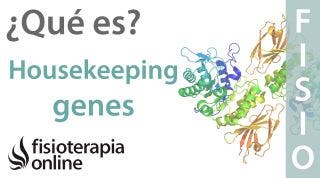 Housekeeping genes. Genes que nos protegen contra el cáncer