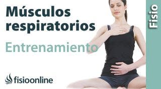 Músculos respiratorios  Autoevaluación y entrenamiento desde la visión de la fisioterapia respi