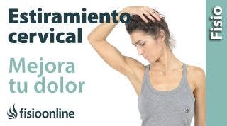 Estiramientos y movilizaciones para las cervicales. Mejora tu dolor de cuello y hombros.