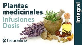 Tratamiento con plantas medicinales: Cómo hacer la infusión, dosis y duración de un tratamiento.