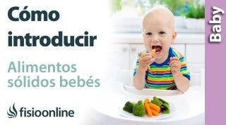 Cómo INTRODUCIR ALIMENTOS SÓLIDOS a mi bebé