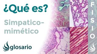SIMPATICOMIMÉTICO | Qué es, significado, mecanismo de acción, fármaco y síndrome
