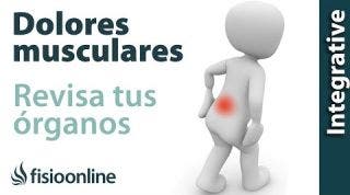 ¿Tienes un dolor que no se resuelve? Revisa tus órganos