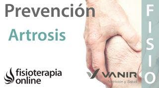 ¿Cómo podemos prevenir la artrosis o desgaste de cartílago?