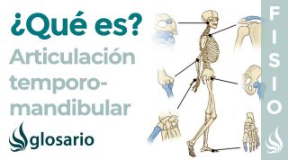 Articulación TEMPOROMANDIBULAR | Qué es, partes, ubicación, función, disfunción y trastornos