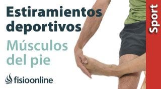 Estiramientos deportivos para relajar los músculos del pie