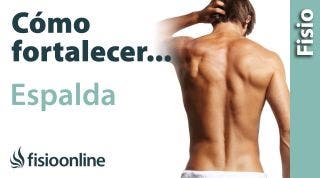 Cómo FORTALECER tu ESPALDA  PREVENIR y SOLUCIONAR problemas y dolores