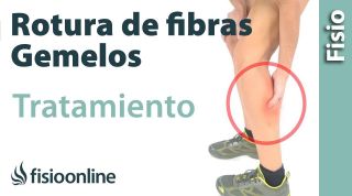 Rotura de fibras del gemelo.Tratamiento con ejercicios, estiramientos y masajes.