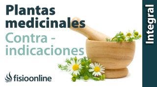 Posibles reacciones al tratamiento con plantas medicinales y contraindicaciones.