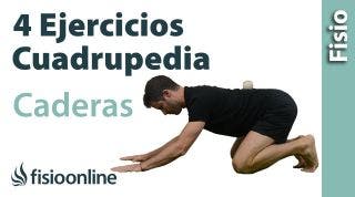 EJERCICIOS para ACTIVAR las CADERAS desde CUADRUPEDIA