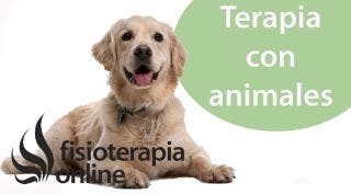 El animal como compañía terapéutica desde la visión de la fisioterapia