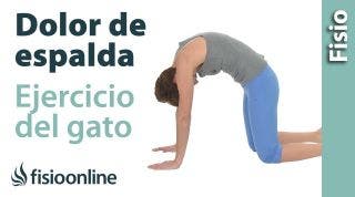 Ejercicio para el dolor de espalda  Ejercicio del gato